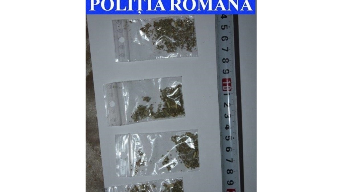 Zeci de polițiști și mascați au descins într-un bloc de interlopi din Focșani