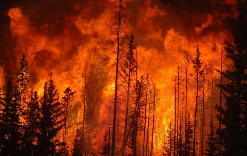 Incendiile puternice continuă în sudul Italiei. Temperaturi de peste 40 de grade, așteptate în următoarele zile