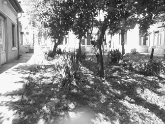Curtea casei care le-a atras atenția afaceriștilor imobiliari