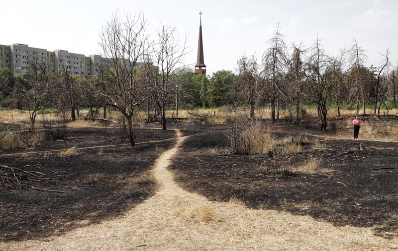 Proprietarii celor 12 hectare retrocedate din Parcul IOR, amendați de Primăria Capitalei cu 35 milioane de euro pentru reducerea spațiului verde
