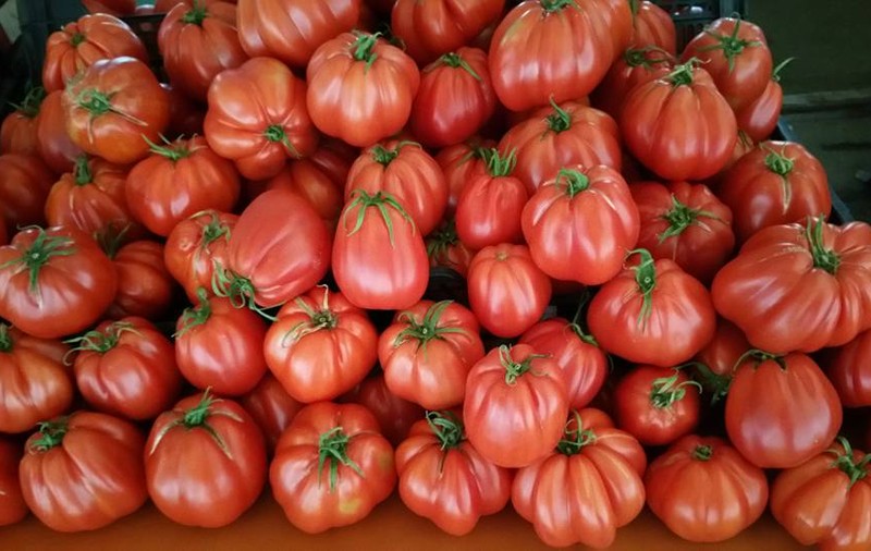 IMAGINEA ZILEI | Reclama e sufletul comerțului, dar sloganul e cheia afacerii. Cum se vând la noi roșiile din import