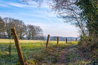Imagine din Markelo, Olanda | Foto: 123RF