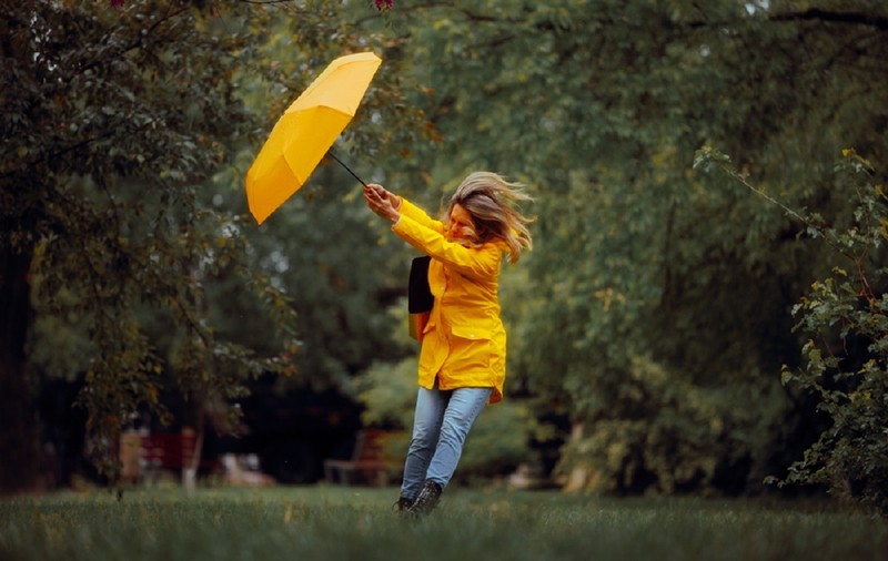 Ce înseamnă când visezi umbrelă