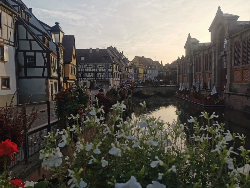 Colmar, Franța Foto: Ioana Ion