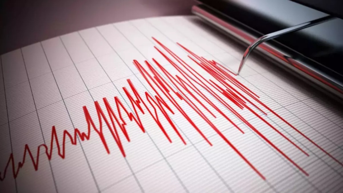 Un seismograf care înregistrează magnitudinea unui cutremur