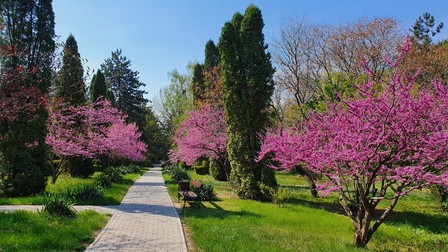 Grădina Botanică