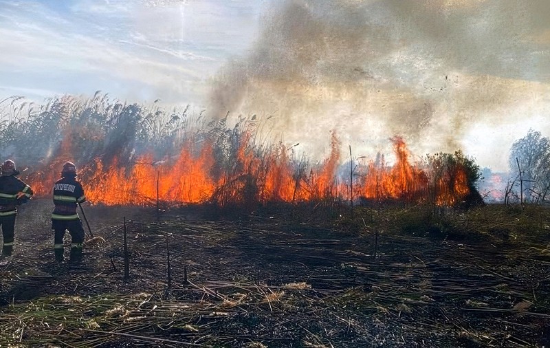 Delta Dunării, în pericol mare din cauza focului. Incendiile de vegetație s-au dublat anul trecut, iar agricultorii sunt lăsați să se descurce singuri 