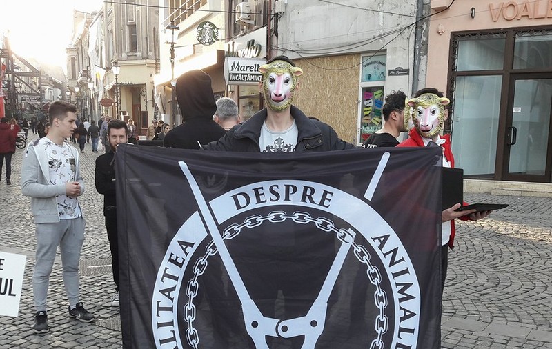 FOTO&VIDEO/ Veganii fac un flashmob la târgul de miei din București, în duminica Floriilor: „Oaia are inteligența unui copil de trei ani”