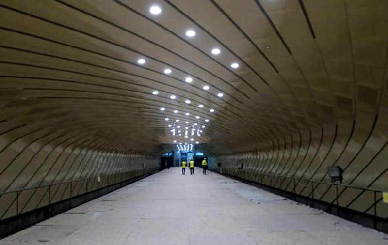Încăierarea dintre doi șoareci pe un peron de metrou ar putea deveni fotografia anului la secțiunea ”animale sălbatice”