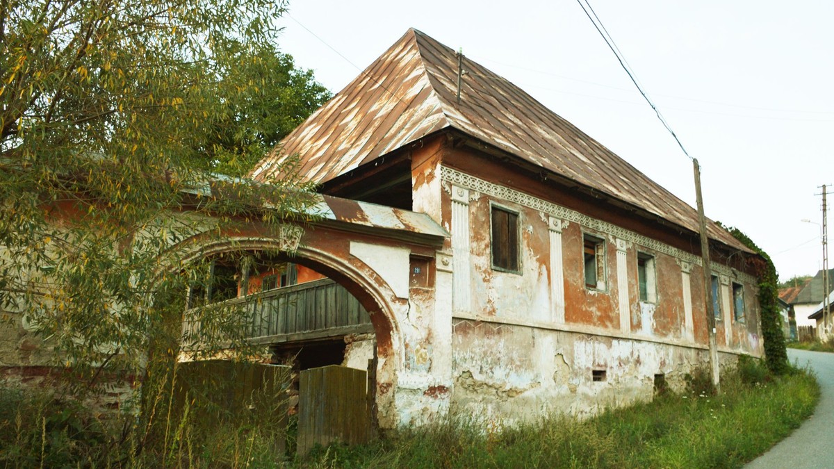 Arhiva foto