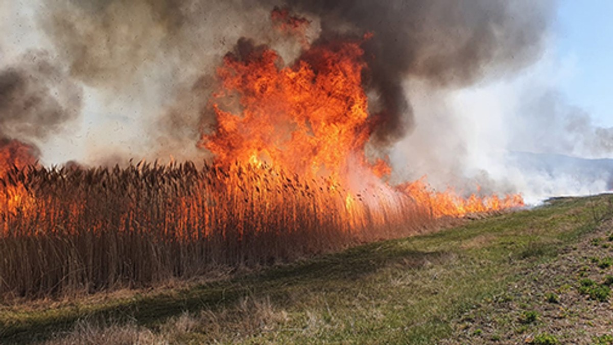Un bărbat a fost găsit mort de pompierii care stingeau un incendiu de vegetație uscată, în Neamț