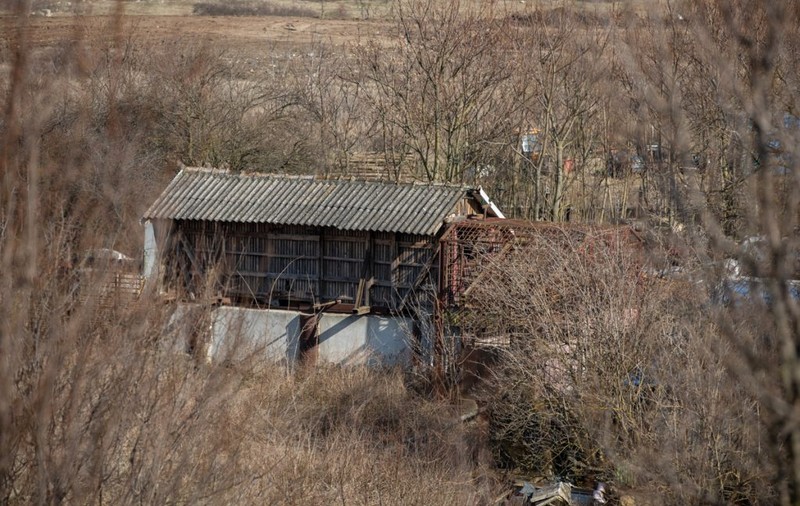 Dosar penal pentru ferma ilegală de urși din Arad, după ce Libertatea a prezentat cazul. Animalele erau înfometate