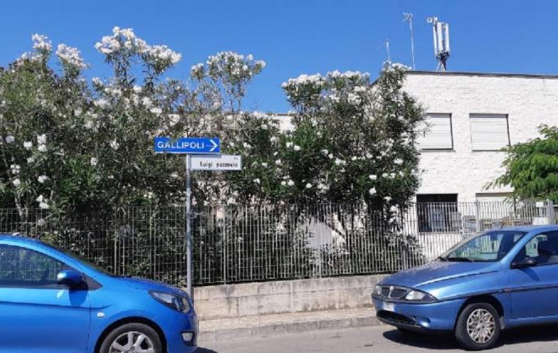 Româncă de 38 de ani, moartă în Italia. Ce spun medicii