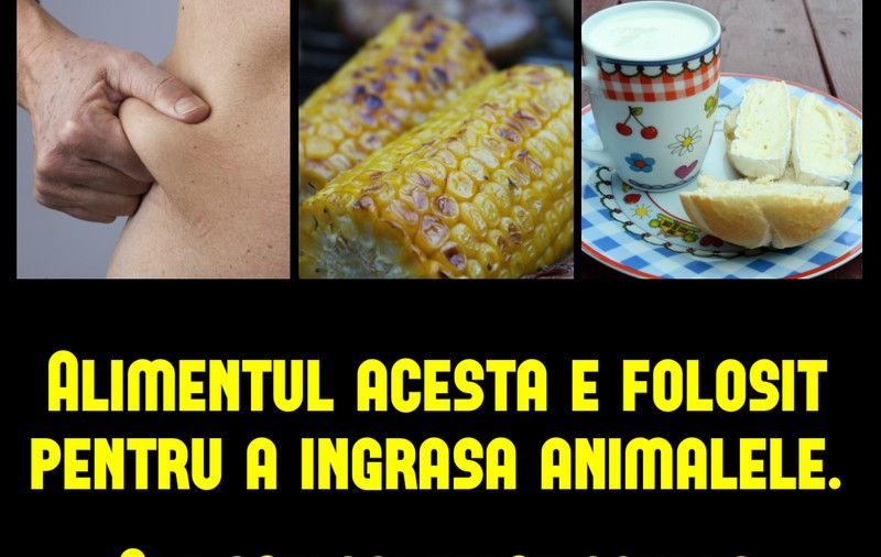 Pâinea îngraşă? Vezi de ce nu e sănătos să mănânci cereale!