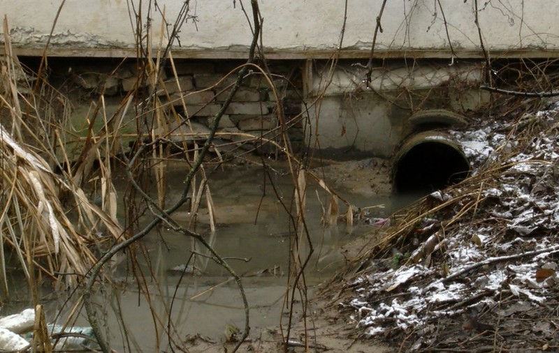 CAMERA ASCUNSĂ | Dezastru ecologic în nordul Bucureștiului: în 2018 s-a deversat pe câmpuri apă aproape cât volumul Lacului Herăstrău!