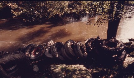 Arhiva foto
