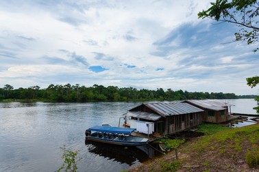 Arhiva foto