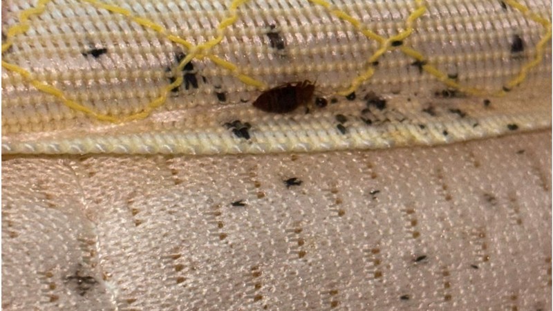 Arhiva foto