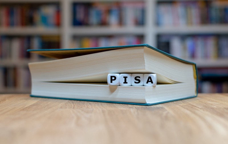Ce sunt testele Pisa. Modele de teste Pisa