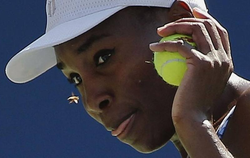 Ce spune poliția din Florida despre accidentul rutier comis de Venus Williams soldat cu decesul unui om. Primele imagini de atunci | VIDEO