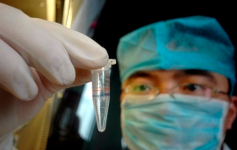 Gripa porcină a ajuns până în China