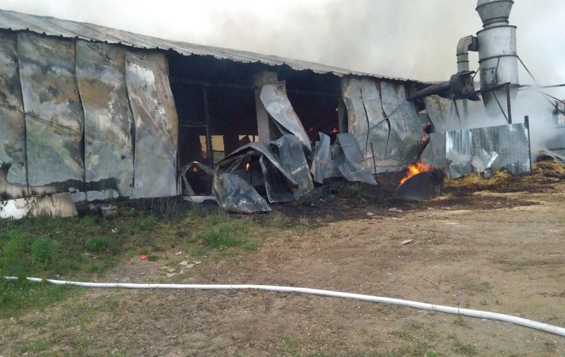 Incendiu la o hală de prelucrare a lemnului din Bățanii Mari, judeţul Covasna. Acoperişul halei s-a prăbuşit
