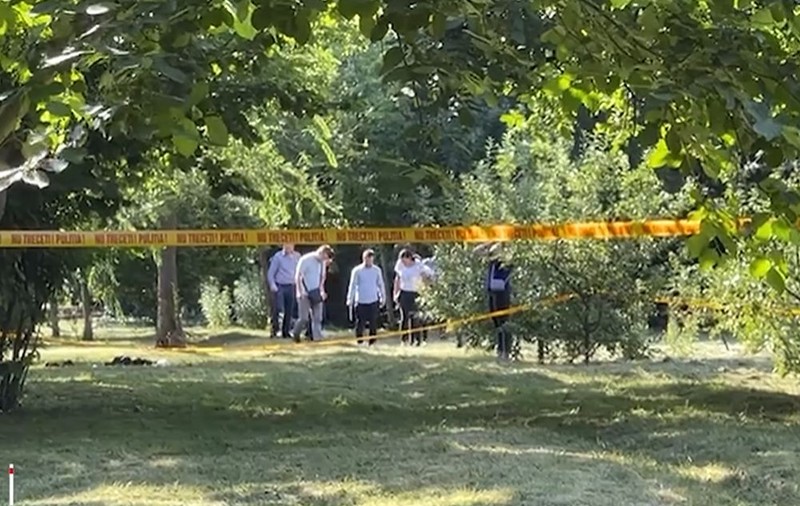 Adolescentul care a înjunghiat doi tineri în Grădina Botanică din Craiova era elev la Liceul Militar. Ce spun reprezentanții școlii
