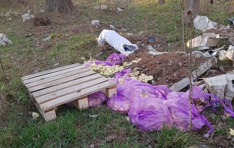 Mii de pui de găină morți au fost aruncați la marginea unei păduri din Dolj