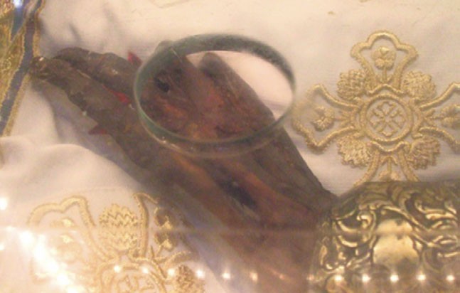 Arhiva foto