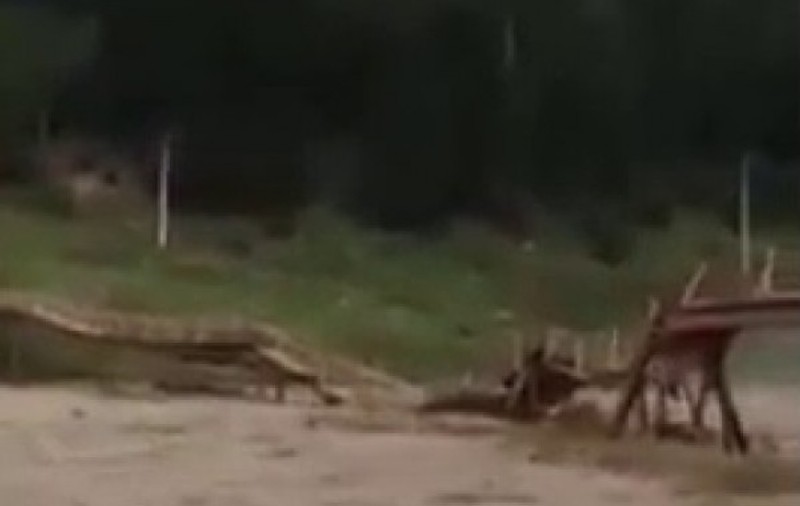 Un pod a fost distrus de viitură în zona Frasin-Moldovița, județul Suceava