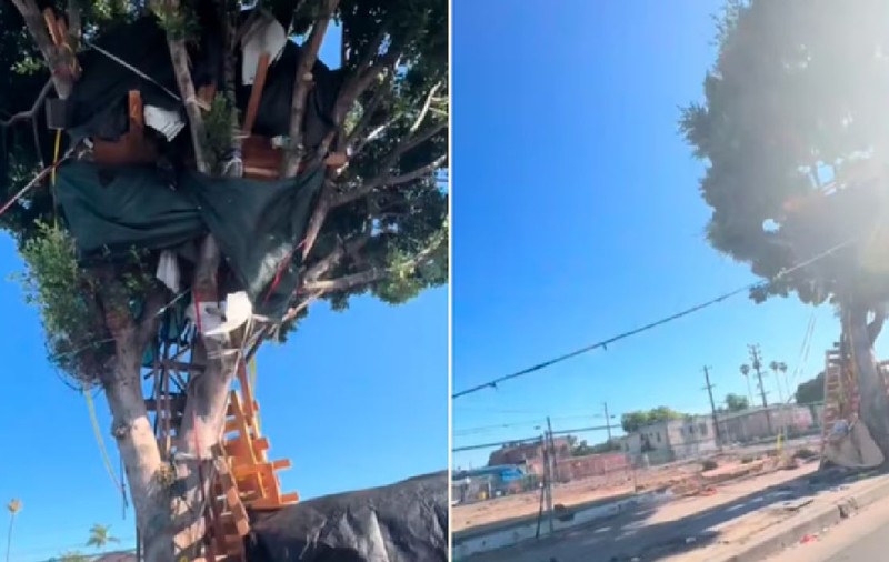 Un bărbat fără adăpost și-a construit o casă imensă în copac, în Los Angeles: „M-au evacuat, dar deja fac una nouă. Sunt ca Tarzan” | VIDEO