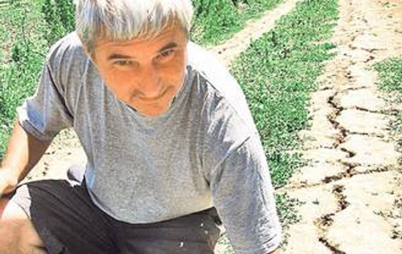 SECETA A PÂRJOLIT ROMÂNIA. Avem CELE MAI MARI PIERDERI agricole din UE