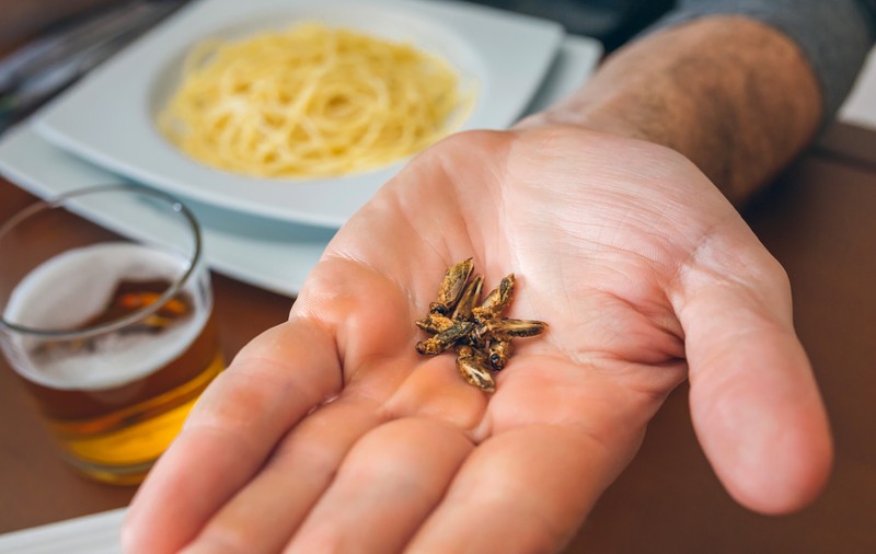 De ce vrea AUR să interzică prin lege insectele în industria alimentară din România
