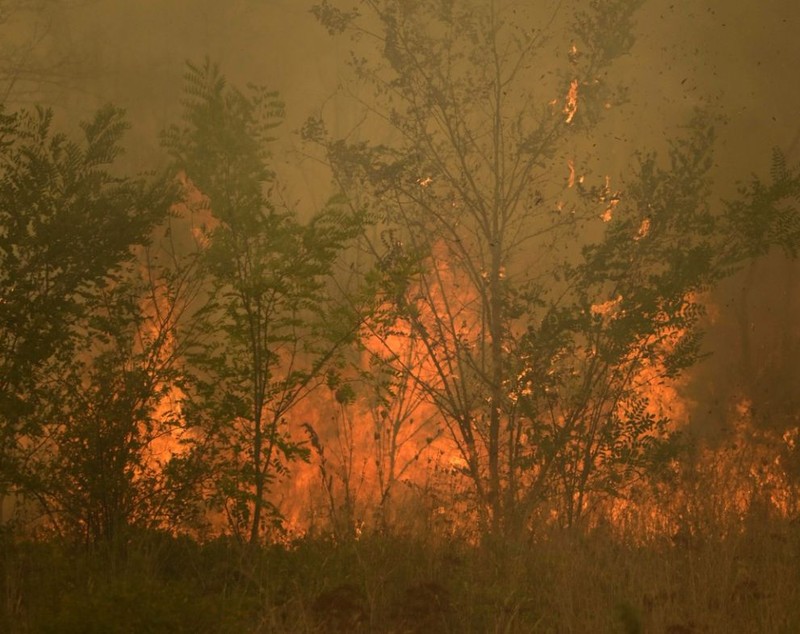 Grecia trimite încă 100 de pompieri să intervină la incendiul din nord-estul țării care arde de 13 zile