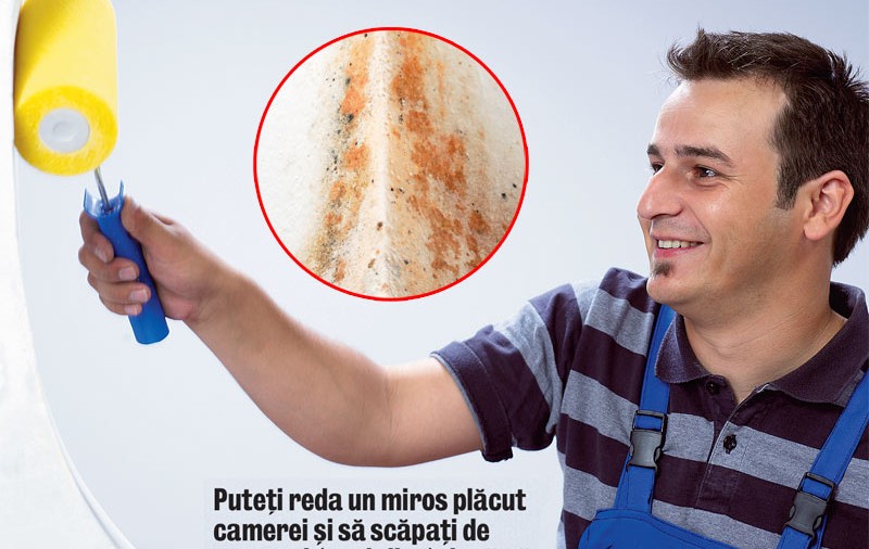 Vreţi să scăpaţi de igrasie?