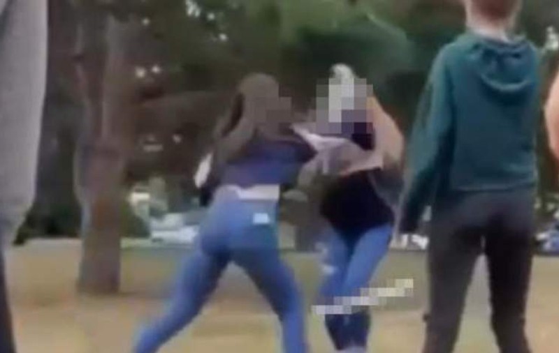 Adolescentă româncă, filmată în timp ce bate cu sălbăticie o colegă de școală într-un parc din Viena
