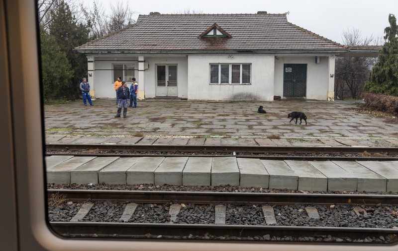 Un impiegat, atacat și bătut crunt chiar în biroul din incinta Gării CFR Seini. Atacatorii, căutați de poliție