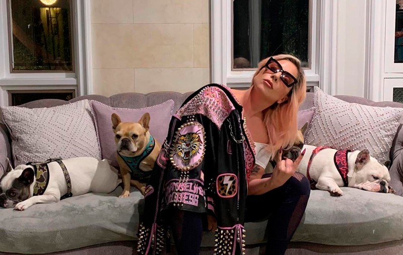 Lady Gaga și-a recuperat cei doi câini furați, după ce o femeie i-a predat poliției din Los Angeles