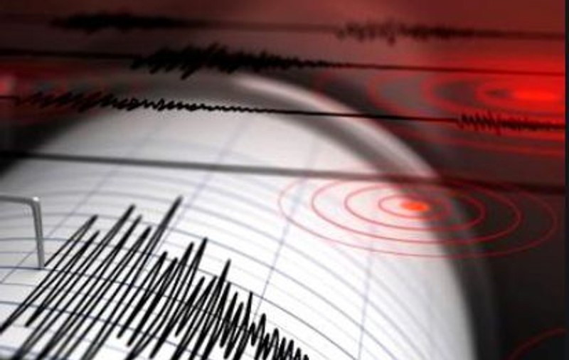 Cutremur de 4,1 grade pe scara Richter, produs în Buzău. Unde s-a simțit seismul