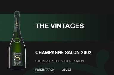 Captura champagne-salon.fr
