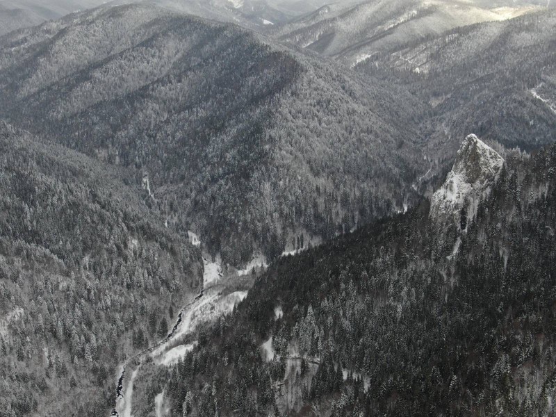 Filmări și fotografii realizate cu drona săptămâna trecută, de Agent Green, în spatele barajului de la Răstolița, arată cât se poate de clar că nici n-au început defrișările sutelor de hectare de păduri. Aducțiunile de pe văile secundare n-au fost realizate nici ele | Foto: Agent Green