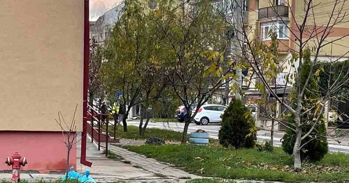 Arhiva foto