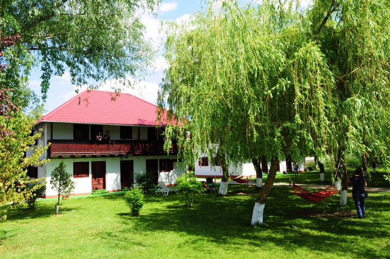 Arhiva foto