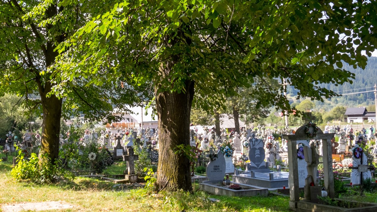 În prim-plan se văd doi copaci mari. Printre copaci se disting mai multe cruci.