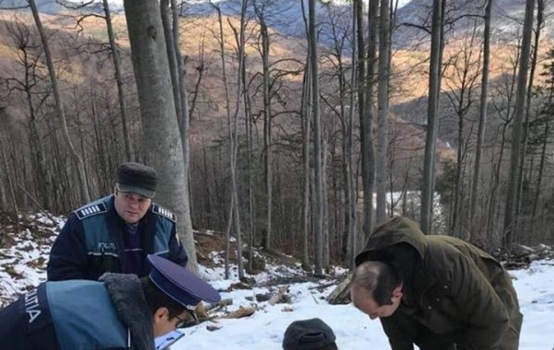 Doi pădurari din cel mai mare ocol silvic din Gorj cred că vor fi dați afară tocmai pentru că au sesizat tăierile ilegale de lemne