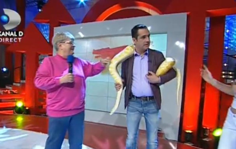 Mădălin Ionescu, în ipostaze incredibile. Nu i-a fost teamă să se înfăşoare cu un piton de 30 de kg!