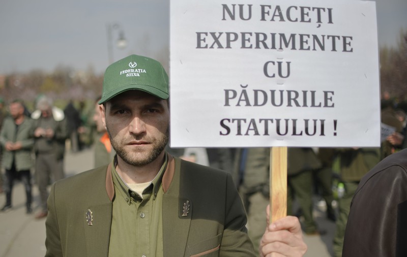 Lista celor care vor să ajungă la șefia Romsilva: printre candidați se regăsesc și figuri controversate