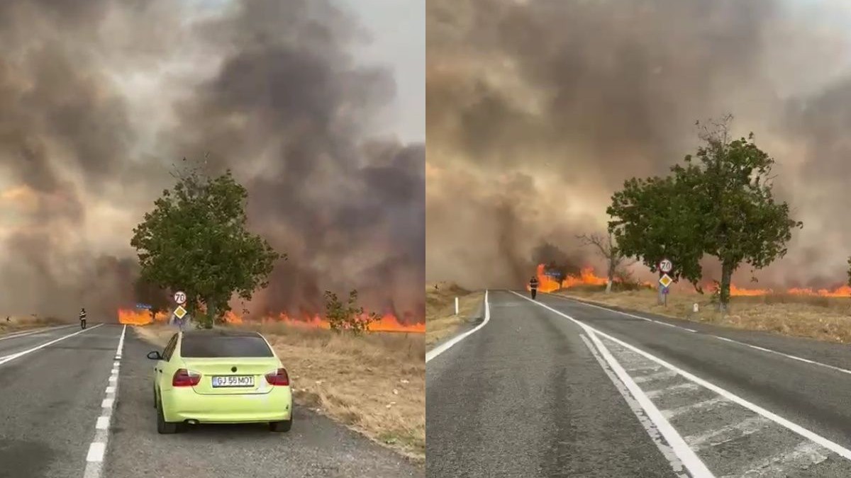 Trafic blocat pe DN 67, între Horezu și Târgu Jiu, din cauza unui incendiu uriaș de vegetație. Sursă foto: Captură foto Facebook /Meteoplus.