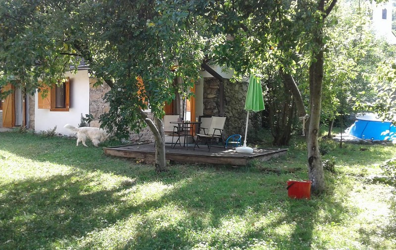 Viperă găsită peste oalele cu mâncare de pe aragaz, în Caraș-Severin