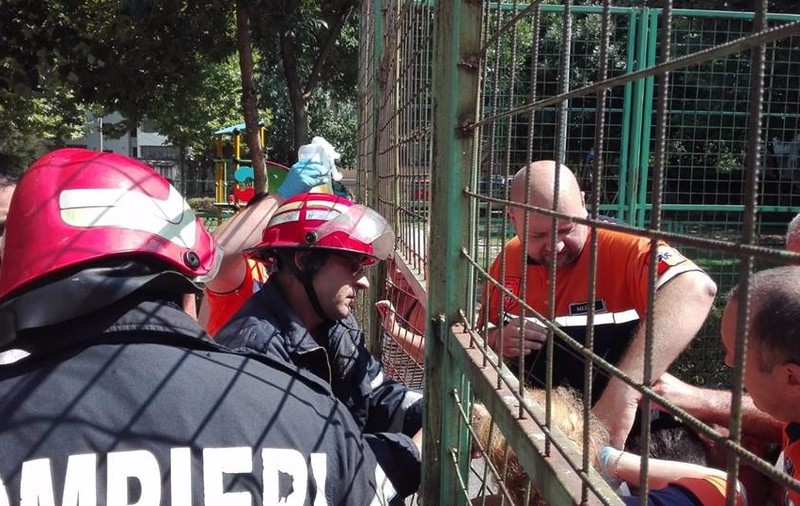 FOTO/ Copil de 11 ani rămas blocat într-un gard metalic dintr-un parc din Călărași. Intervenție dificilă a pompierilor